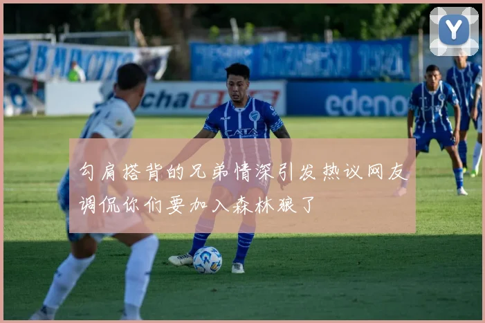 勾肩搭背的兄弟情深引发热议网友调侃你们要加入森林狼了
