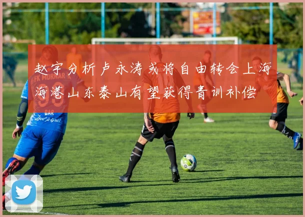 赵宇分析卢永涛或将自由转会上海海港山东泰山有望获得青训补偿