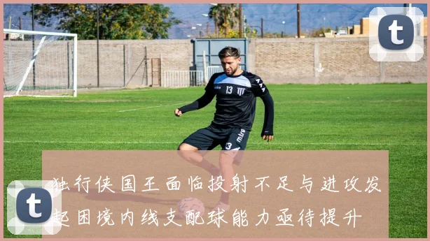 独行侠国王面临投射不足与进攻发起困境内线支配球能力亟待提升