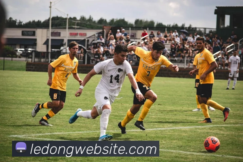 乐动体育平台生态图