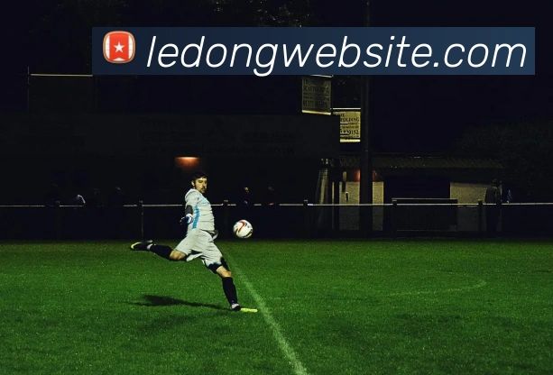 乐动体育APP 封面图