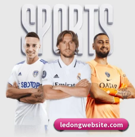 乐动体育 APP - LDSPORTS